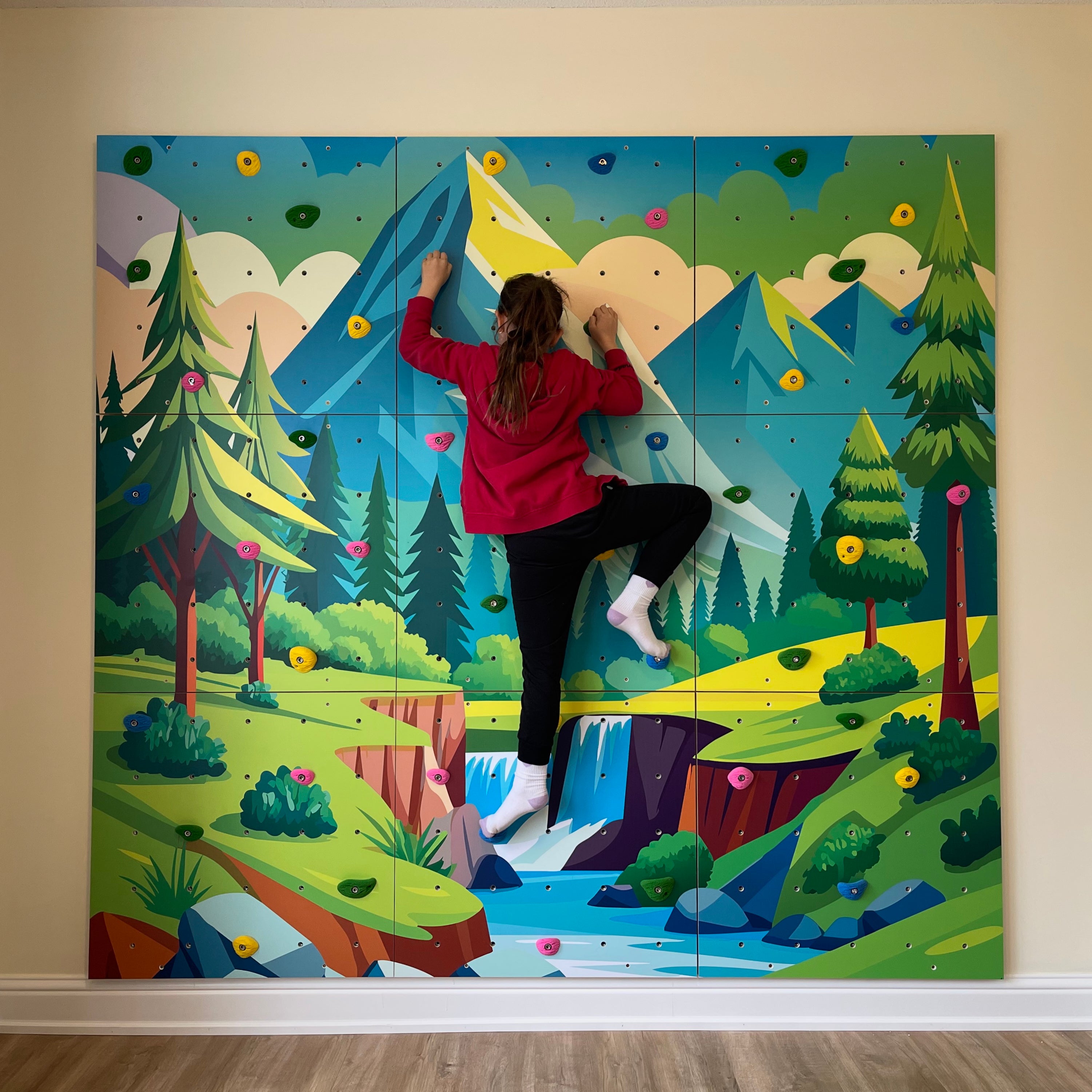 Home Climbing Wall for Kids