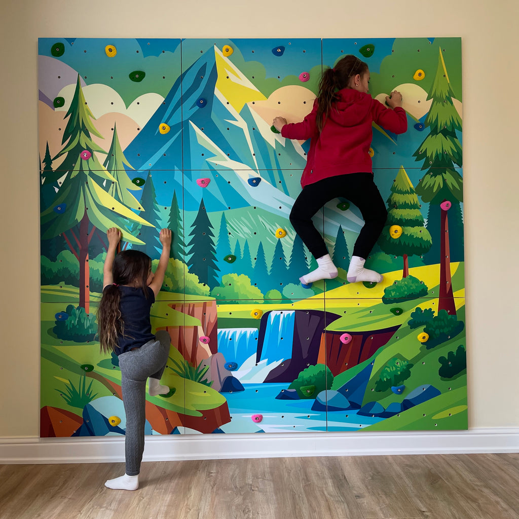Home Climbing Wall for Kids