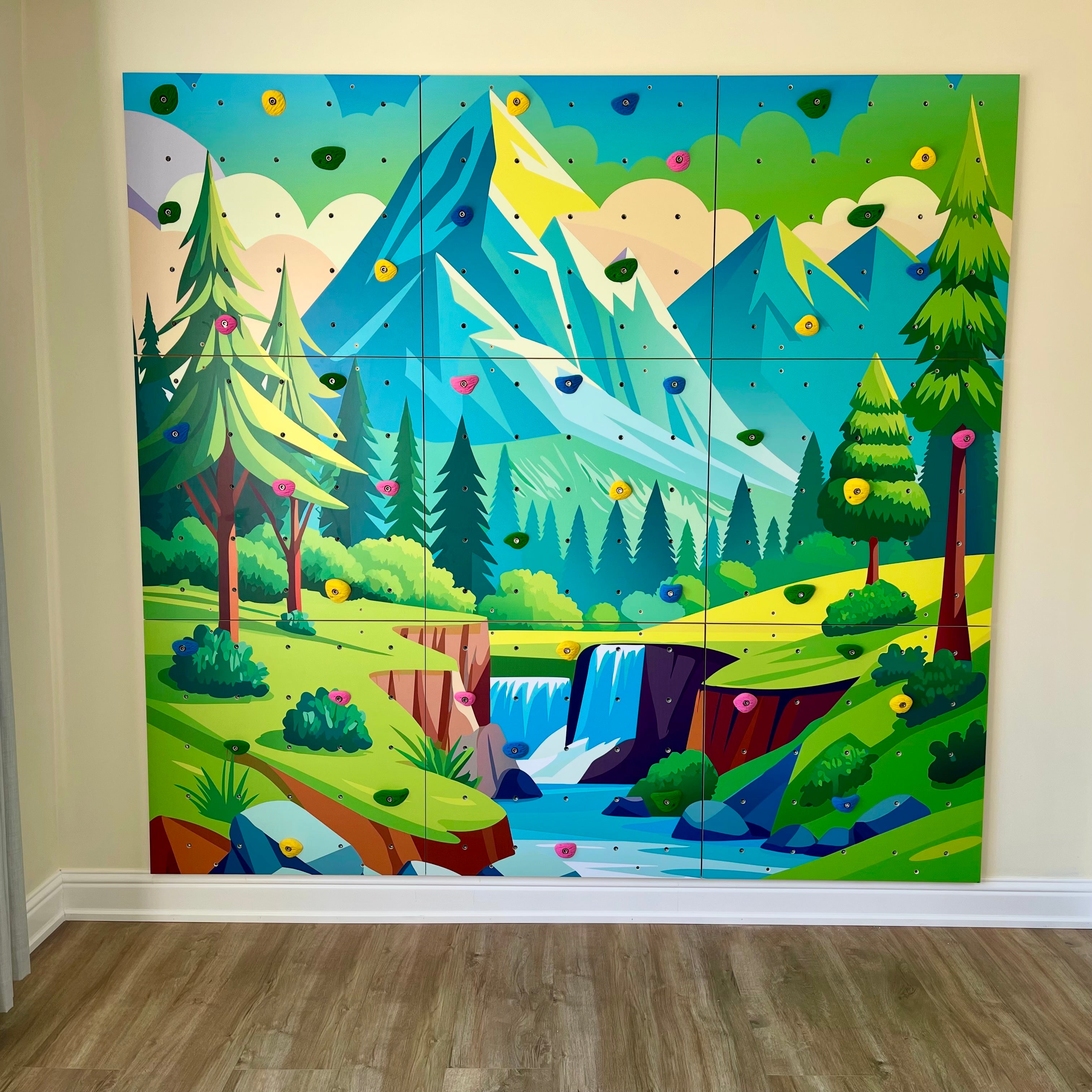 Home Climbing Wall for Kids