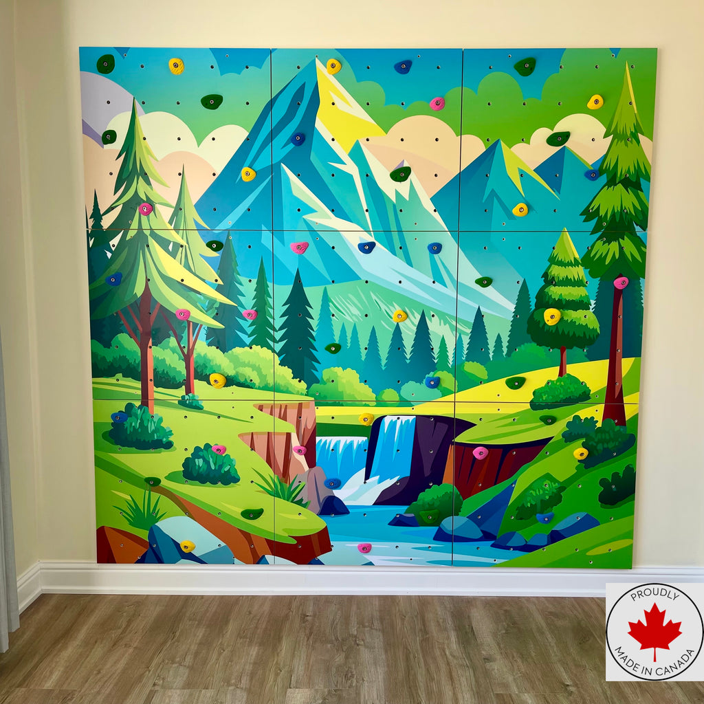 Home Climbing Wall for Kids