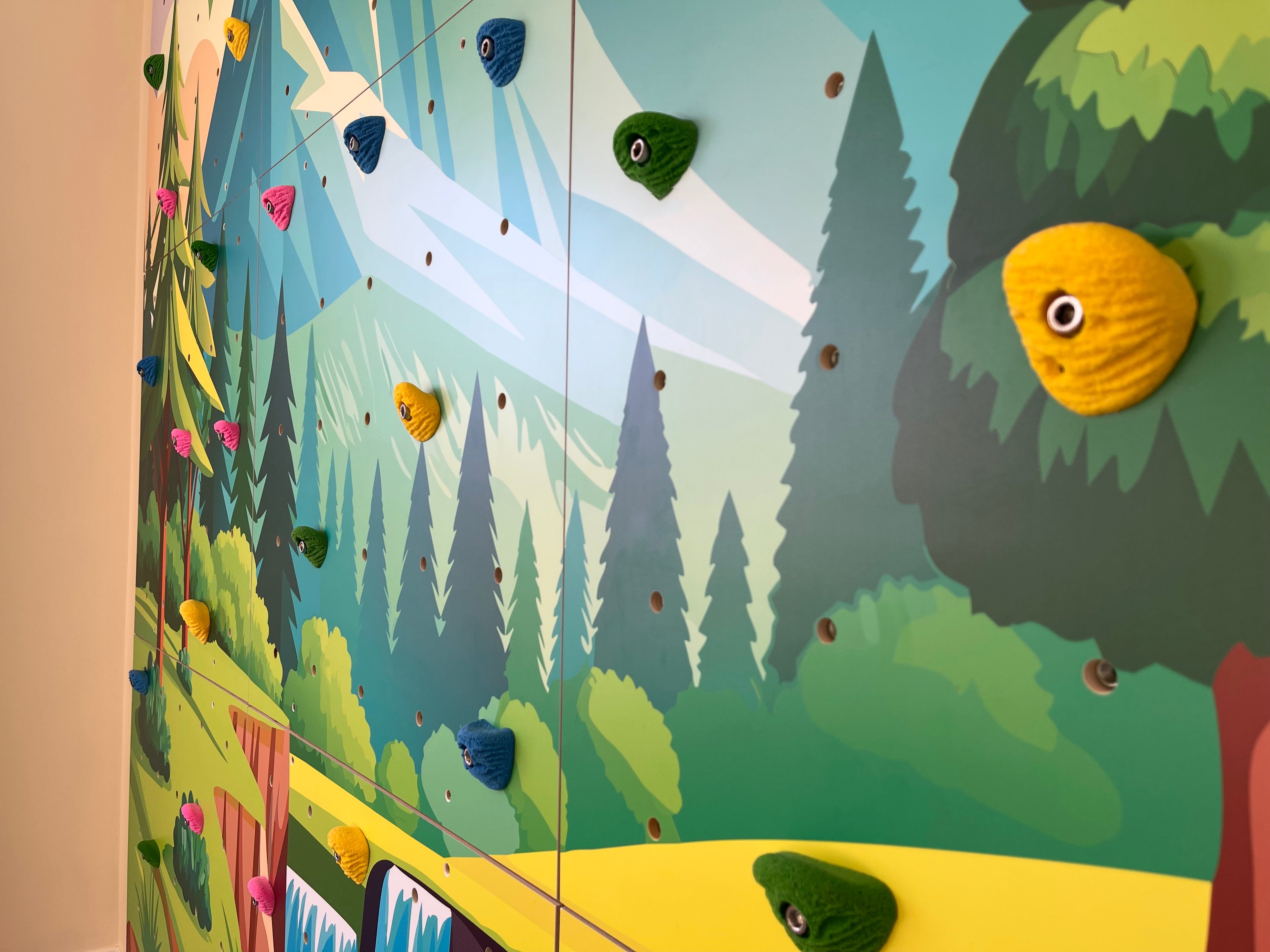 Home Climbing Wall for Kids