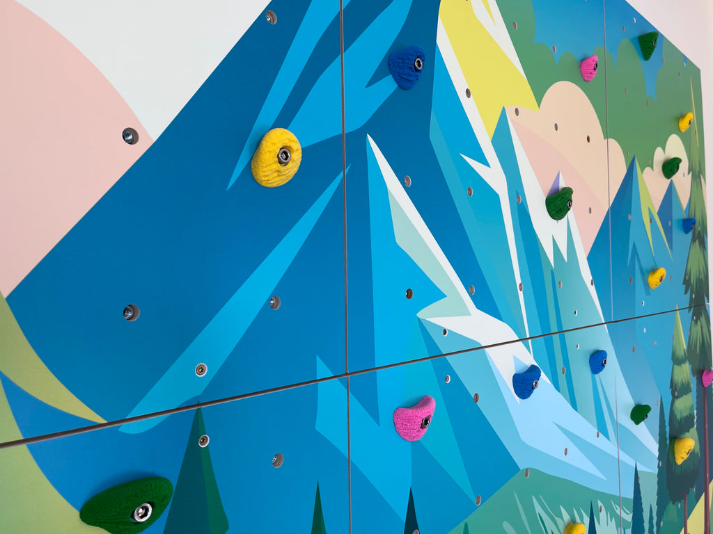 Home Climbing Wall for Kids