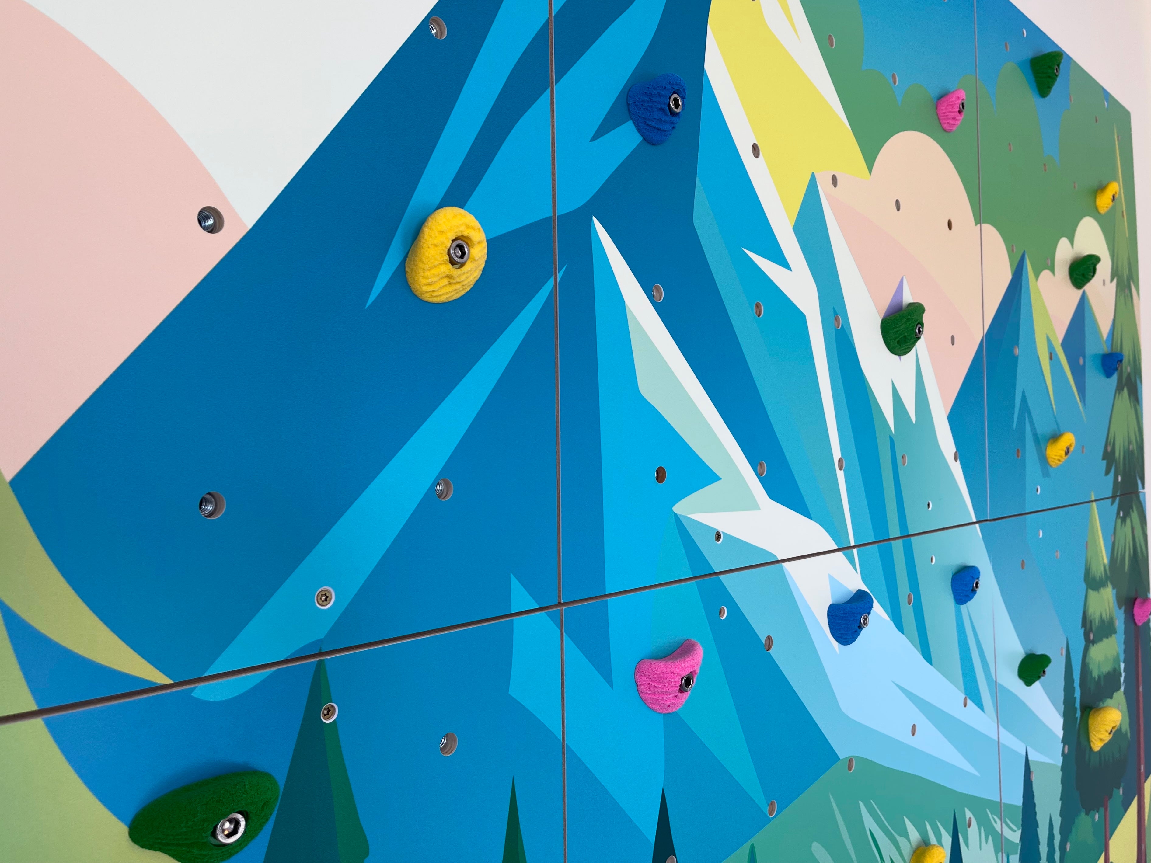 Home Climbing Wall for Kids